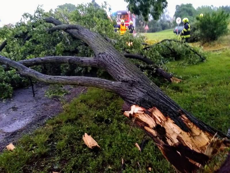 Hasiči odstraňují také následky silného větru