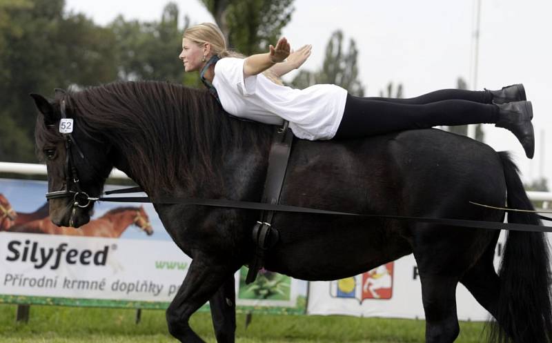 Koně v akci na pardubickém dostihovém závodišti