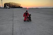 Do Turecka zasaženého zemětřesením vyslalo HZS Pardubického kraje svého kynologa Davida Hynka a jeho psího svěřence Darrena.