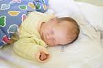 Adélka Paduchová se narodila 18. srpna mamince Monice a tatínkovi Pavlovi. Světlo světa spatřila v 9:01 hodin. Měřila tehdy 50 centimetrů a vážila 3020 gramů.