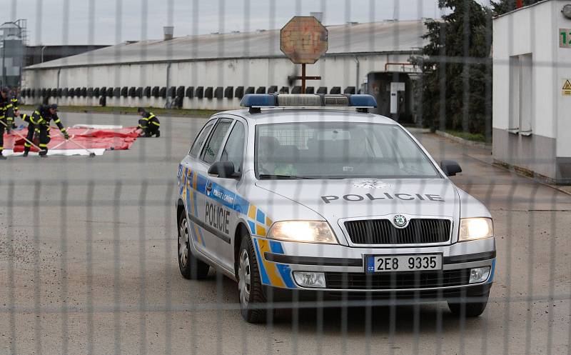 V Česku je druhé ohnisko ptačí chřipky. Nemoc se objevila v komerčním chovu Moras Moravany ve Slepoticích na Pardubicku.