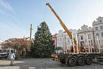 Pardubice už mají svůj vánoční strom na Pernštýnském náměstí.