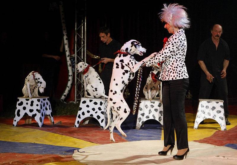 Cirkus JO–JOO, v těchto dnech hostuje v Pardubicích