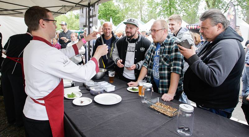 Gurmánský Bosh Fresh Festival na pardubickém dostihovém závodišti.