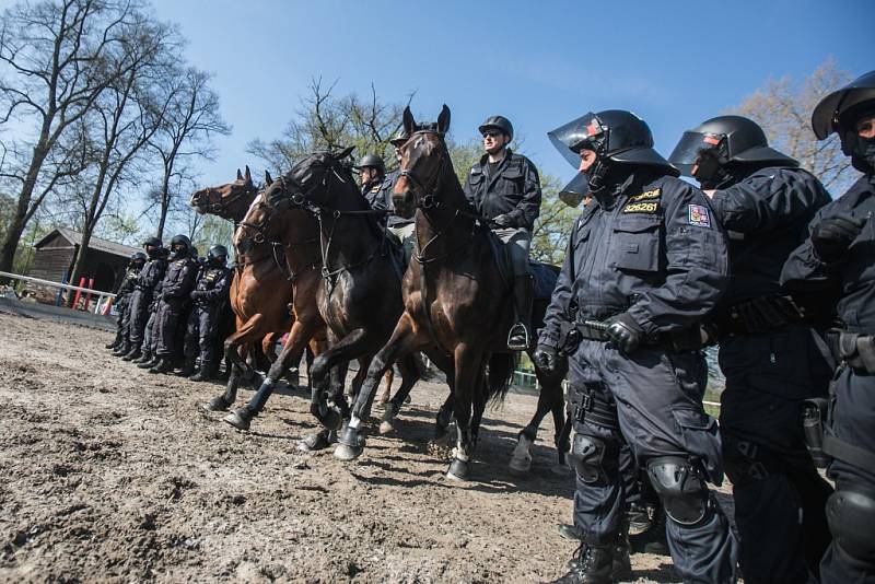 Policisté krajské pořádkové jednotky Pardubického kraje nacvičovali spolupráci s jízdním oddílem pražské policie.