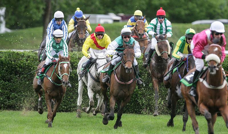 Hegnus s Markem Stromským zvítězil v I. kvalifikaci na 129 . Velkou pardubickou steeplechase na Dostihovém závodišti v Pardubicích.