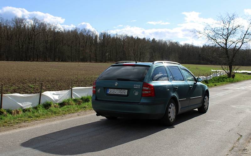 Migrace žab v Pardubickém kraji