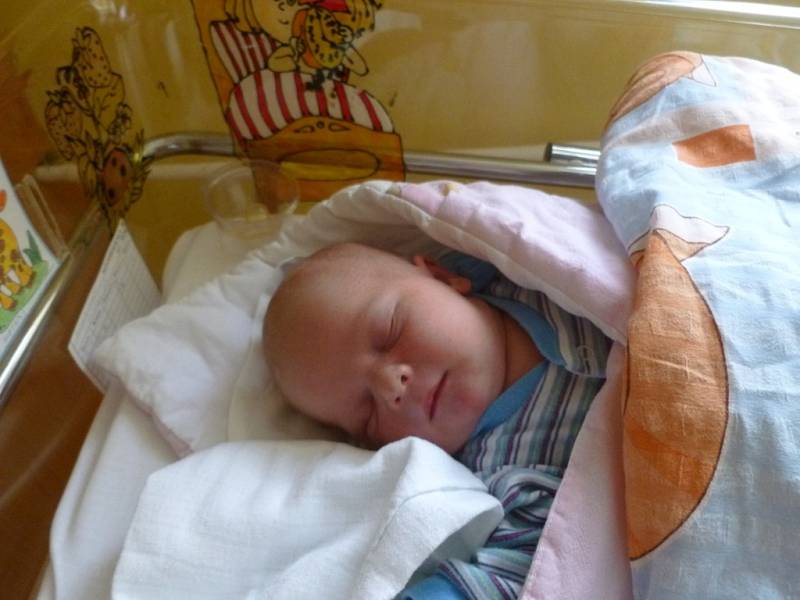 Michal Krytinář se narodil 9. září ve 20:48 hodin. Měřil 54 centimetrů a vážil 4260 gramů.  Mamince Ivaně byl u porodu velkou oporou tatínek Filip. Rodina bydlí v Pardubicích.