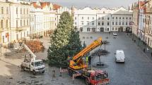 Pardubice už mají svůj vánoční strom na Pernštýnském náměstí.