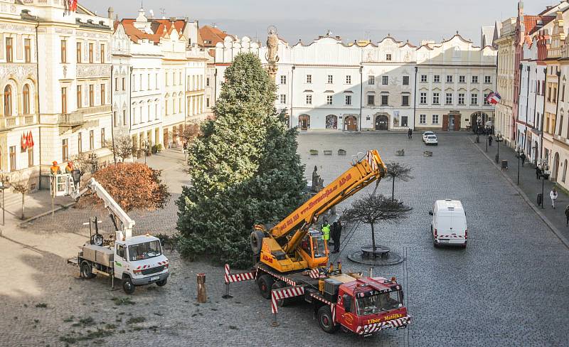 Pardubice už mají svůj vánoční strom na Pernštýnském náměstí.