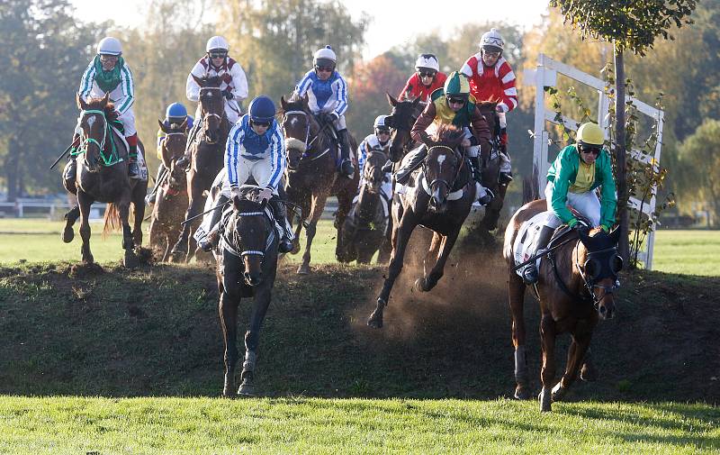 Vítězem 129. Velké pardubické se Slavia pojišťovnou na pardubickém dostihovém závodišti se stal Theophilos s Josefem Bartošem.