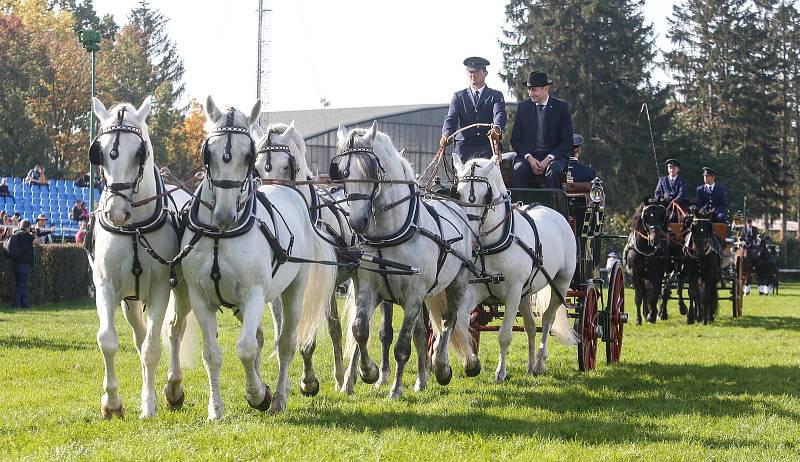 Zahájení 129. Velké pardubické se Slavia pojišťovnou na pardubickém dostihovém závodišti .