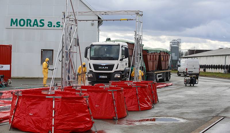 V Česku je druhé ohnisko ptačí chřipky. Nemoc se objevila v komerčním chovu Moras Moravany ve Slepoticích na Pardubicku.