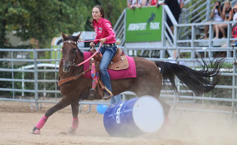 Třetí ročník Friends Festu na pardubickém dostihovém závodišti.