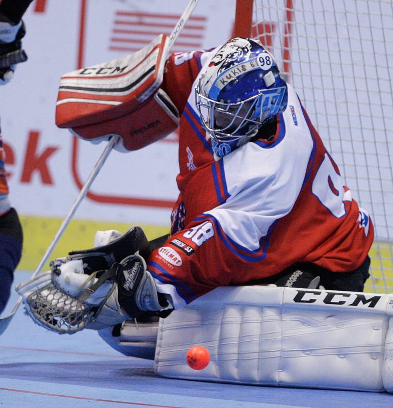 Hokejbalové utkání Mistrovství světa mezi Českou republikou a Indiív pardubické Tipsport Aréně.