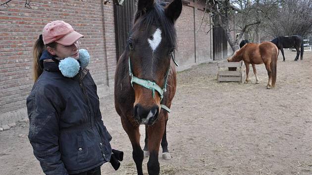 Jana Nováková se svými  čtyřnohými kamarády