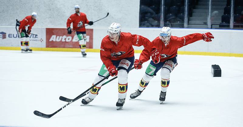 První trénink hráčů HC Dynamo na ledě v pardubické enteria areně.