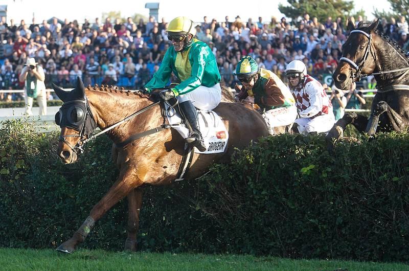 Vítězem 129. Velké pardubické se Slavia pojišťovnou na pardubickém dostihovém závodišti se stal Theophilos s Josefem Bartošem.