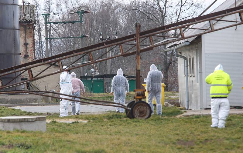 V Česku je druhé ohnisko ptačí chřipky. Nemoc se objevila v komerčním chovu Moras Moravany ve Slepoticích na Pardubicku.