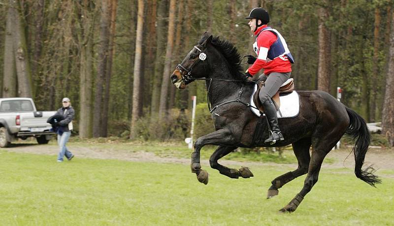 První akce sezony 2010 na pardubickém závodišti. Cena hejtmana Pardubického kraje ve všestrannosti. 