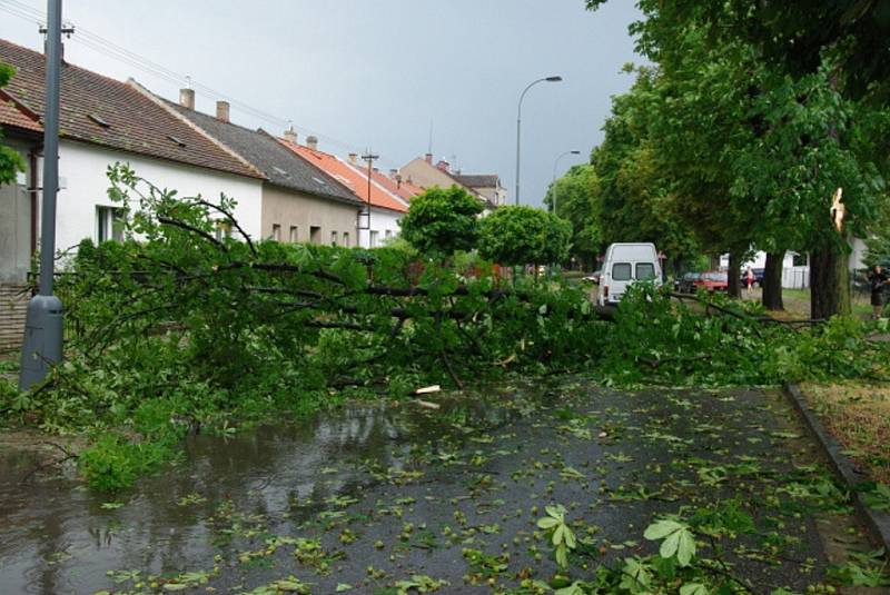 Následy vichřice v Husově ulici v Pardubicích