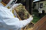 Včely jsou již od roku 2018 součástí věznice a péče o ně zabezpečují odsouzení zařazení do Apiterapie pod vedením vychovatele terapeuta. Včelky se za naši péči odvděčují každý rok a to medem a dalšími produkty.