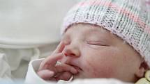 Tereza Nováková se narodila 15. května v 17:05 hodin. Měřila 48 centimetrů a vážila 3160 gramů. Maminku Alenu u porodu podpořil tatínek Jiří a rodina je z Pardubic.