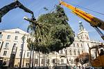 Pardubice už mají svůj vánoční strom na Pernštýnském náměstí.