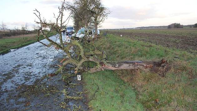 Nehodu pomůže objasnit informace o spadlém strom