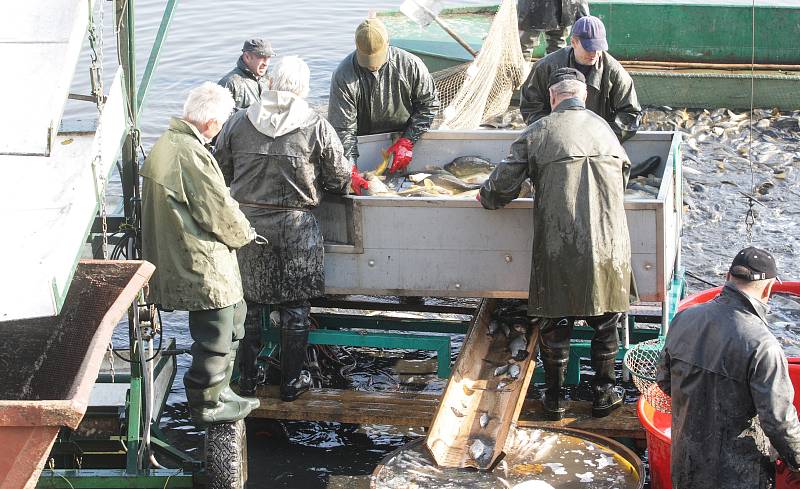 Kapři v rybníku Buňkov na Přeloučsku jsou nakaženi onemocněním zvaným KOIHERPESVIRÓZA a dochází k jejich úhynu. Virem se mohou nakazit pouze kapři a koi kapři, jiné ryby ne. Rybáři ale musí usmrtit i jiné ryby, aby nákazu nepřenášely. Týká se celkem zhrub