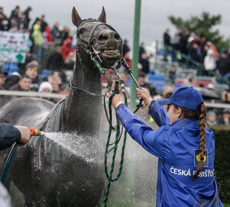 Velká pardubická 2017. 