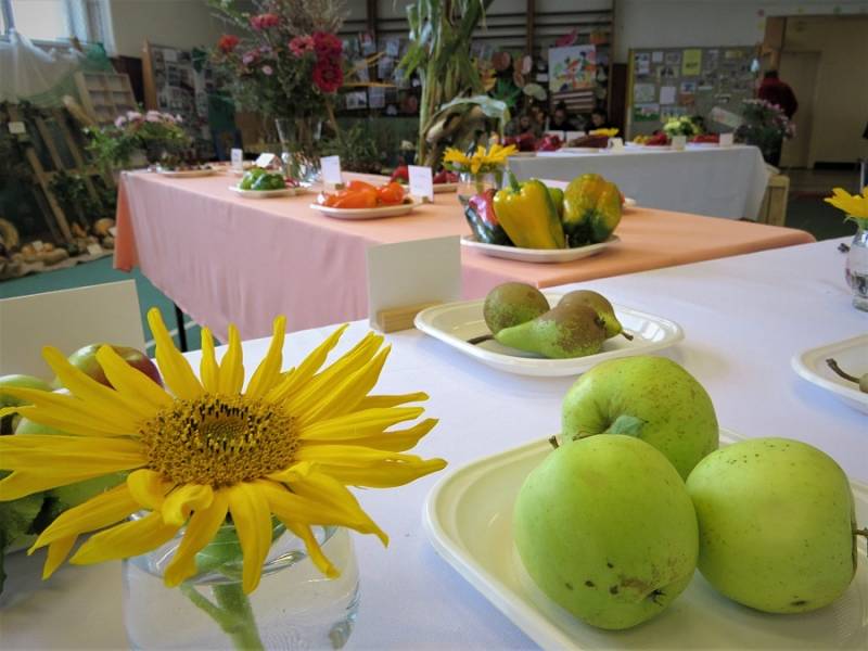 Výstava ovoce, zeleniny a květin.