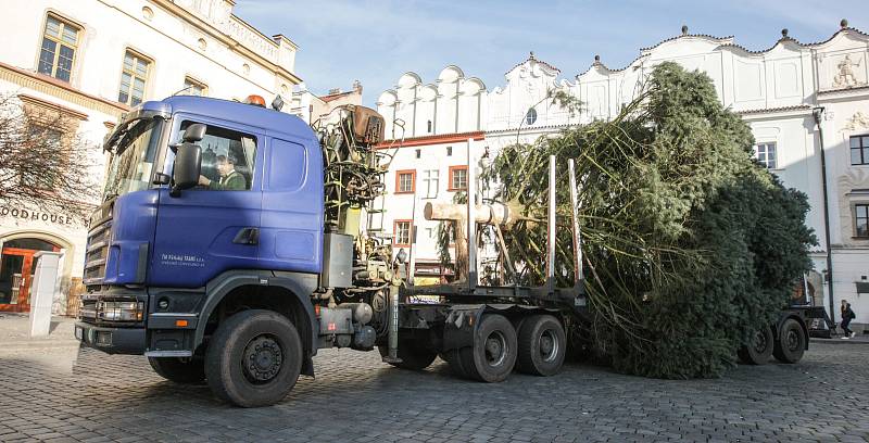 Pardubice už mají svůj vánoční strom na Pernštýnském náměstí.