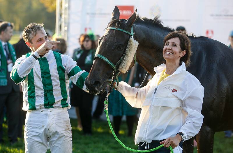 Vítězem 129. Velké pardubické se Slavia pojišťovnou na pardubickém dostihovém závodišti se stal Theophilos s Josefem Bartošem.