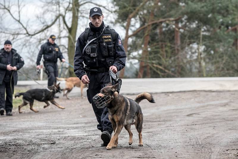 Policisté v okolí Břehů u Přelouče pátrali po nezvěstném muži. 