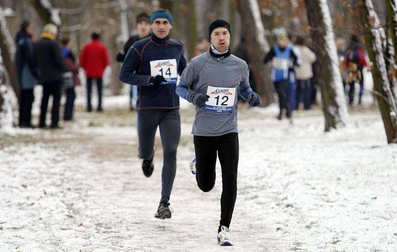 V dukelském lesoparku se konal 13. ročník Mikulášského běhu, který opět uspořádala pardubická Hvězda.