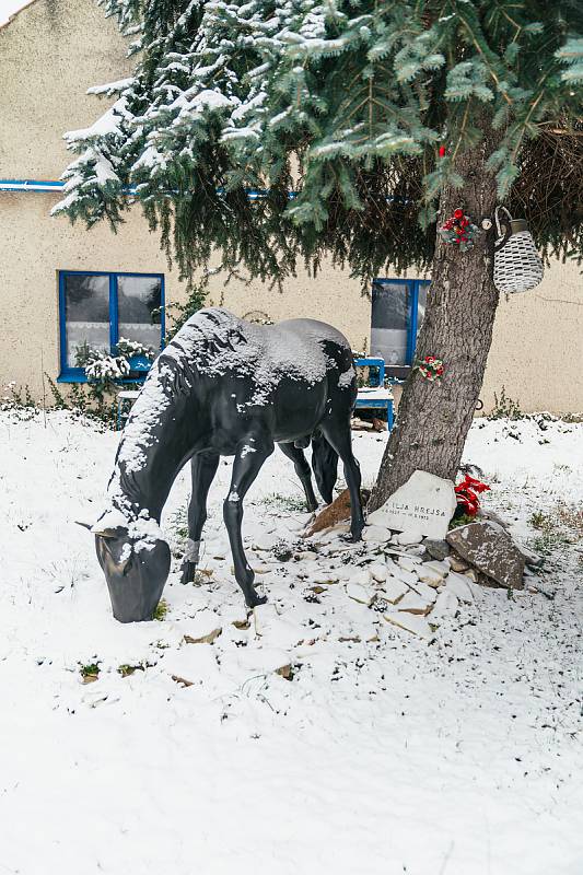 Kladruby nad Labem jsou známé především díky hřebčínu, na starokladrubské bělouše se jezdí dívat tisíce turistů ročně.