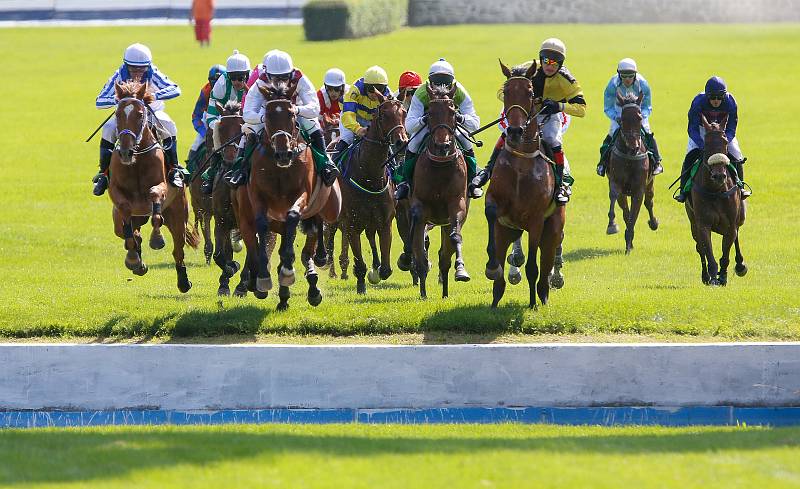 I. kvalifikace na 130. Velkou pardubickou se Slavia pojišťovnou na pardubickém dostihovém závodišti.