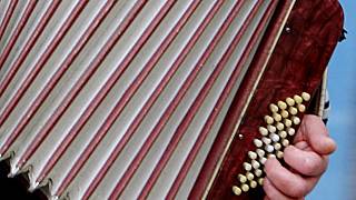 Harmonika je nádherný nástroj," říká pardubická akordeonistka Holomková -  Pardubický deník