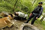 Cvičení Záchrana 2010. Desítky policistů prohledávaly lesy okolo Horního Jelení, kde se měli ztratit dva senioři.