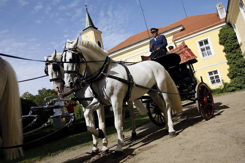 OPRATÍ OPRAVENÉHO BISKUPSKÉHO KOČÁRU se chopil známý vozataj kladrubského hřebčína Petr Vozáb.