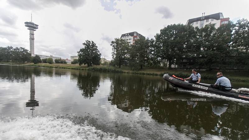 Policisté pohřešovaného Viktora Hašpicu hledali tentokrát i z vodní hladiny. Propátravaly se hlavně nánosy a křoviny rostoucí ve vodě podél břehů, kam se jinudy než z lodi nedá přiblížit.