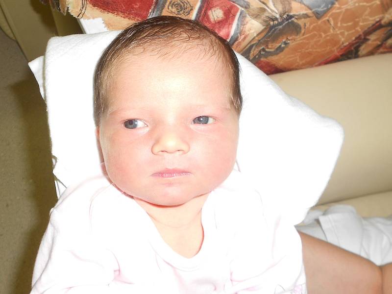 STELA NOHEJLOVÁ se narodila 11. ledna ve 13.47 hodin. Měřila 54 cm a vážila 4190 g. Velmi potěšila své rodiče Dominiku Karlovou a Michala Nohejla z Dlouhoňovic. Doma se těší sourozenci Michaela, Lukáš, Ema a Nela. Tatínek byl u porodu statečný.
