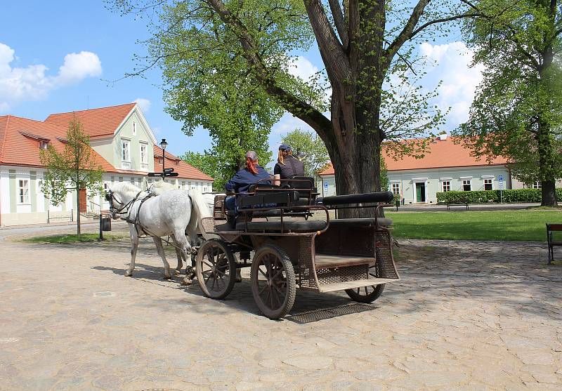 Národní hřebčín Kladruby nad Labem