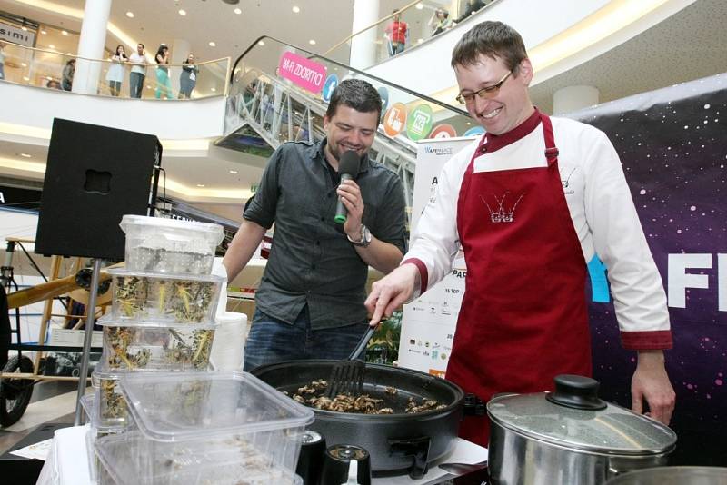 Druhý ročník Apetit festivalu v Pardubicích. Je libo hmyzí lahůdky?