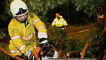 Bohdanečtí hasiči měli s odstraňováním stromů dost práce