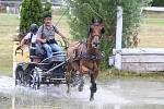 Kvalifikace na Zlatou podkovu v závodech spřežení na pardubickém dostihovém závodišti.