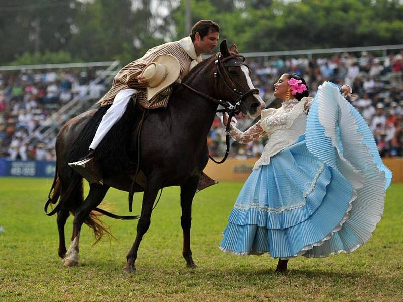 V Pardubicích se představí peruánské plemeno paso.