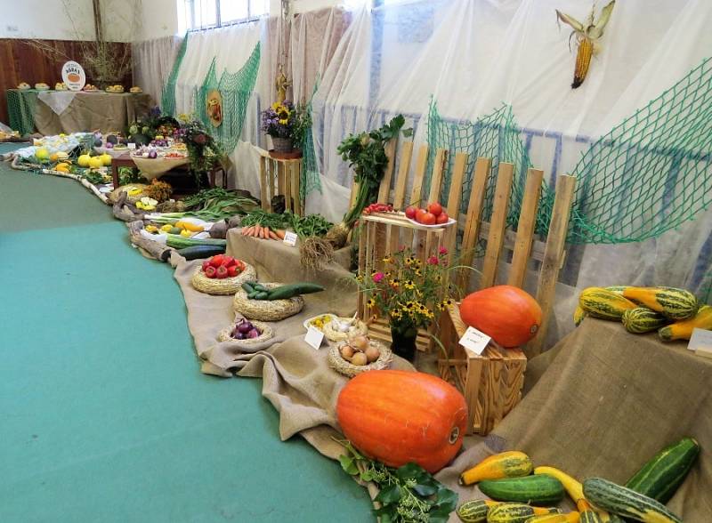 Výstava ovoce, zeleniny a květin.