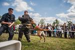 Tank power 2016. Ukázky služební kynologie celníků.